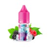 PACK DE 10 FRUITS ROUGES GIVRÉS LIQUIDAROM